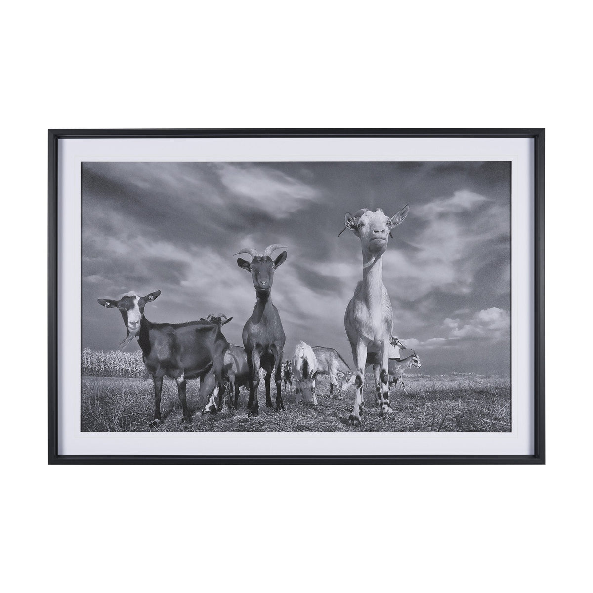 Curious Farm Goats by Novica Stankovic Hand-Embellished Textured Framed Artwork Matted under Glass by Mercana at Eve Furniture