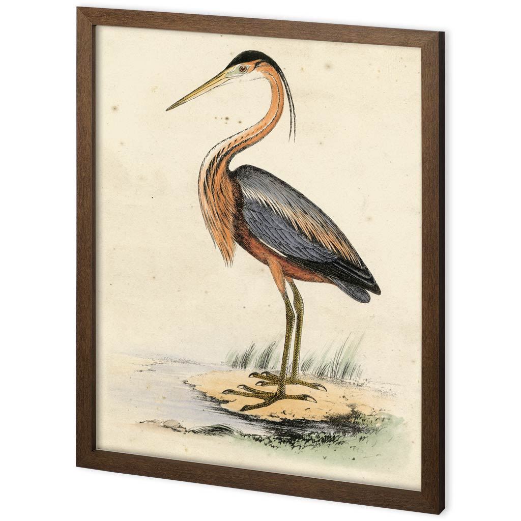 Custom Antique Heron II by Ferdos Maleki a Hand Embellished Textured Framed Decograph Art Print by Mercana at Eve Furniture
