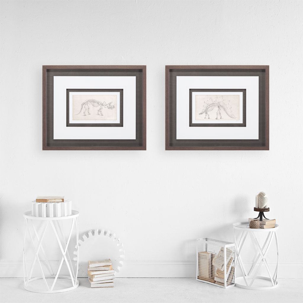 Custom Dinosaur Study II (MC) by Harper, Ethan a Framed Art Print Matted under Glass by Mercana at Eve Furniture