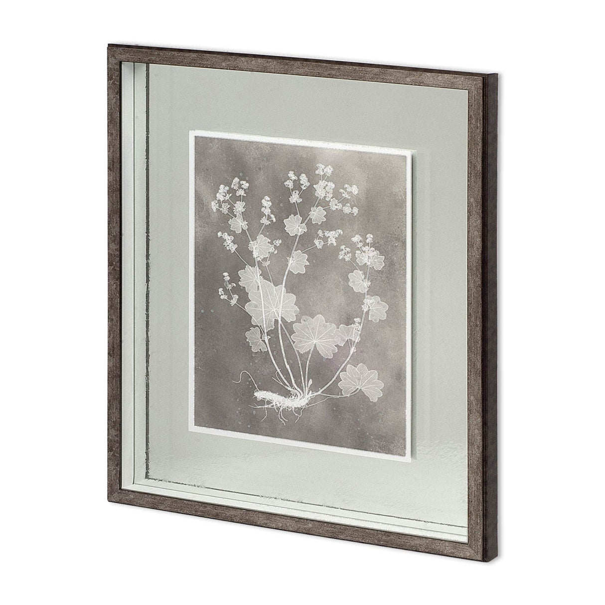 Custom Herbarium Study I by Vision Studio Hand Embellished Framed Art Print Matted under Glass by Mercana at Eve Furniture