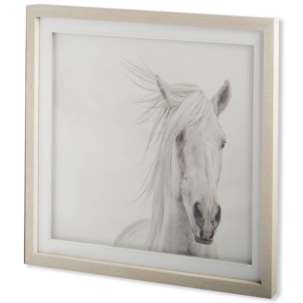 Custom Wind Blown Mane I (MC) by PHBurchett a Framed Photo Art Print Matted under Glass by Mercana at Eve Furniture