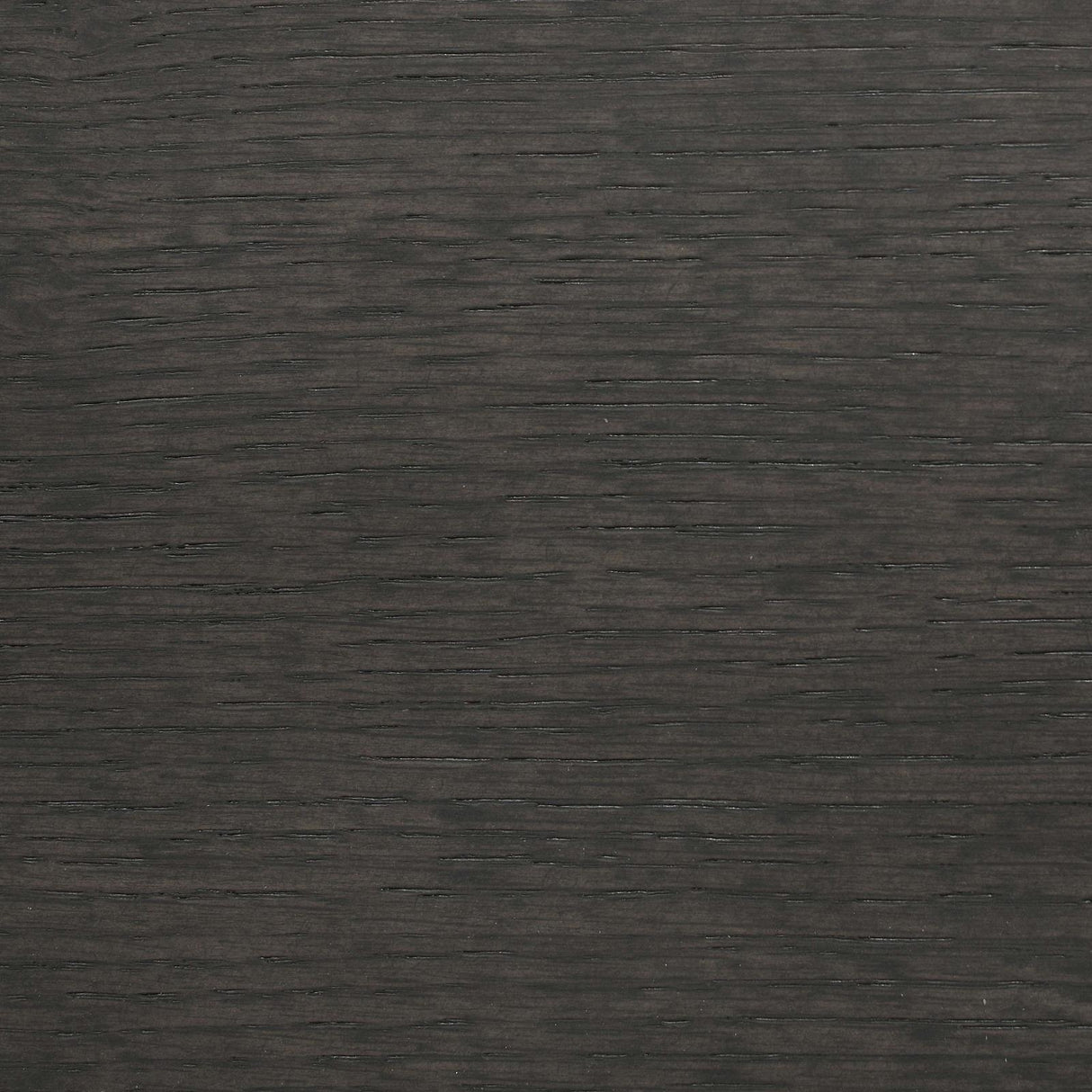 Dalila Gray/Dark Gray Padded Cushion Bench by Coaster at Eve Furniture