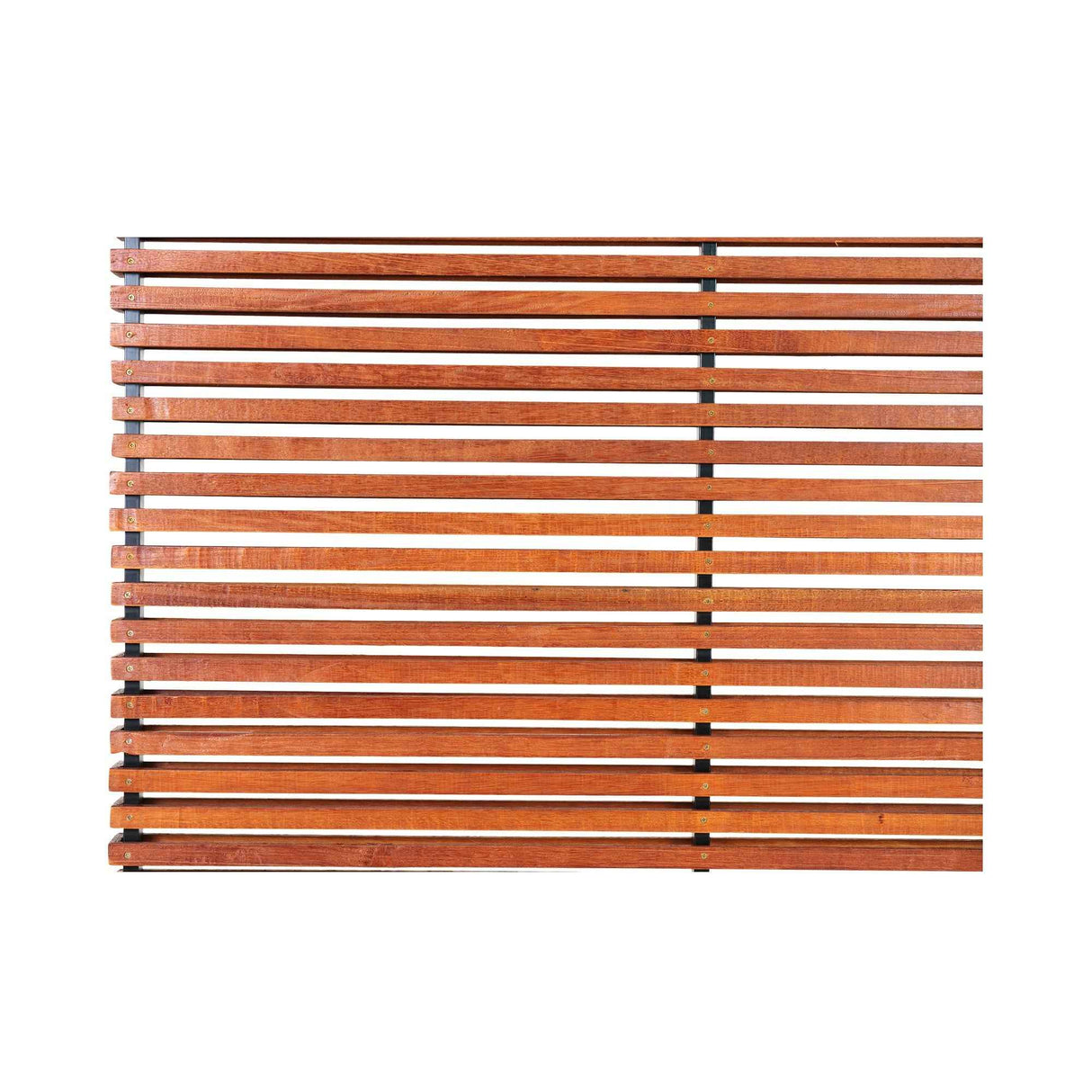 Dallin Brown Screen