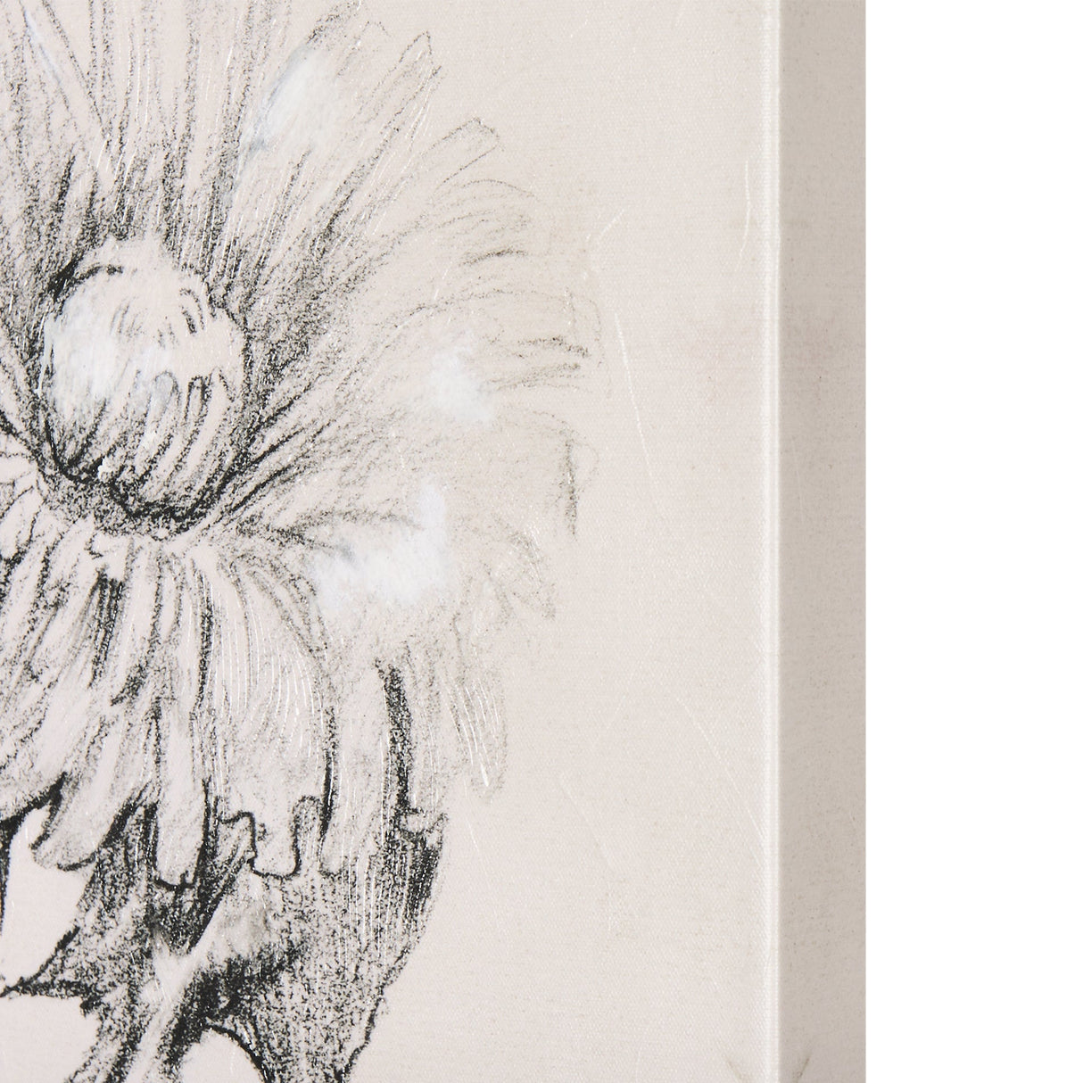 Dandelion Drawing II by Mercana Studio a Hand Embellished Textured Canvas by Mercana at Eve Furniture