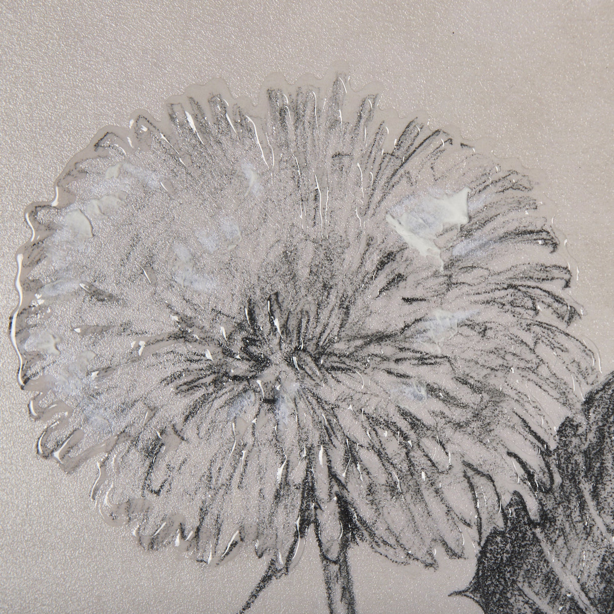 Dandelion Drawing II by Mercana Studio Hand Embellished Textured Framed Art Print Matted under Glass by Mercana at Eve Furniture