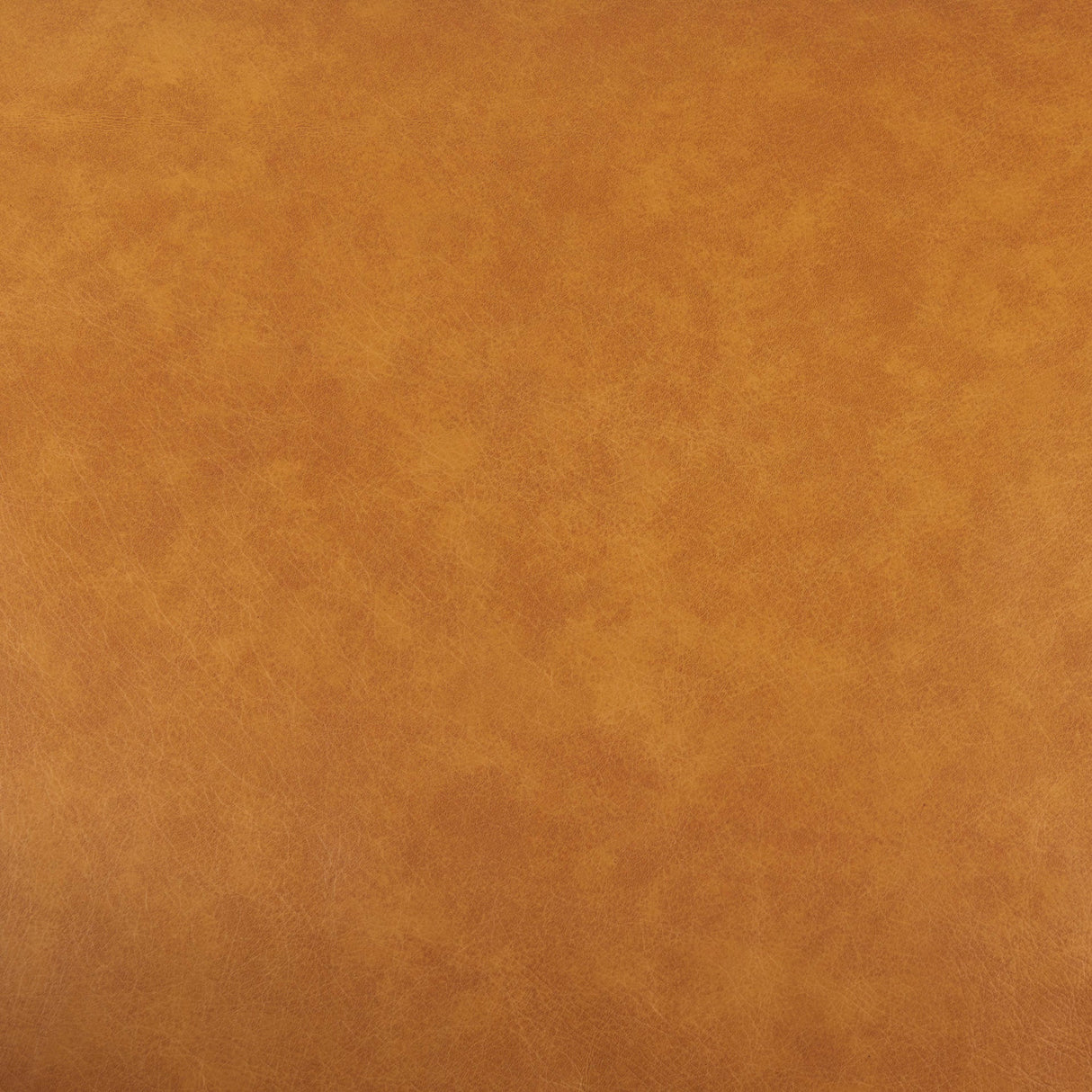 D'Arcy 65.0L x 37.0W x 34.0H Tan Leather Love Seat by Mercana at Eve Furniture