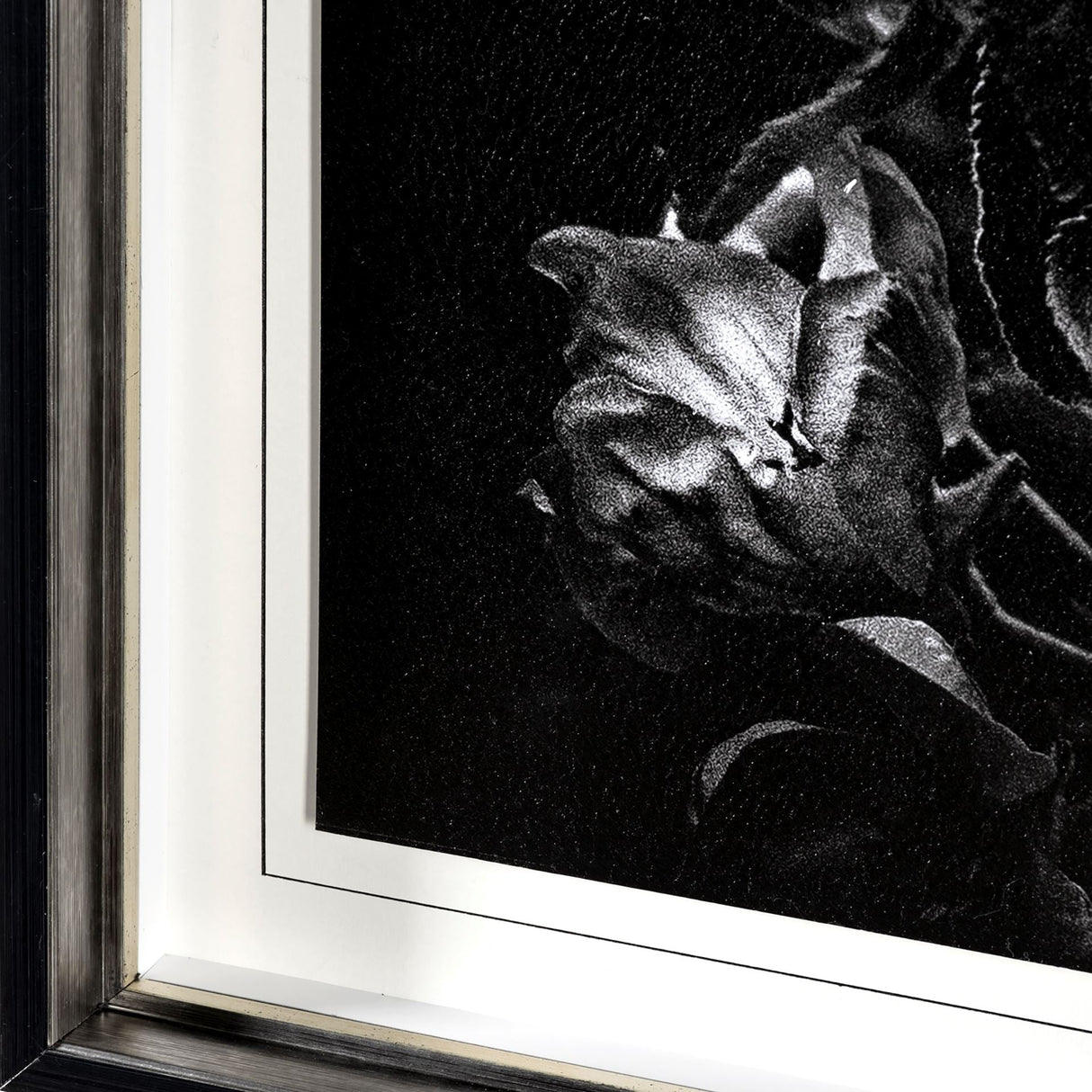 Dark Blossoms by Brian Carson a Hand Embellished Textured Framed Photo Art Print Matted under Glass by Mercana at Eve Furniture