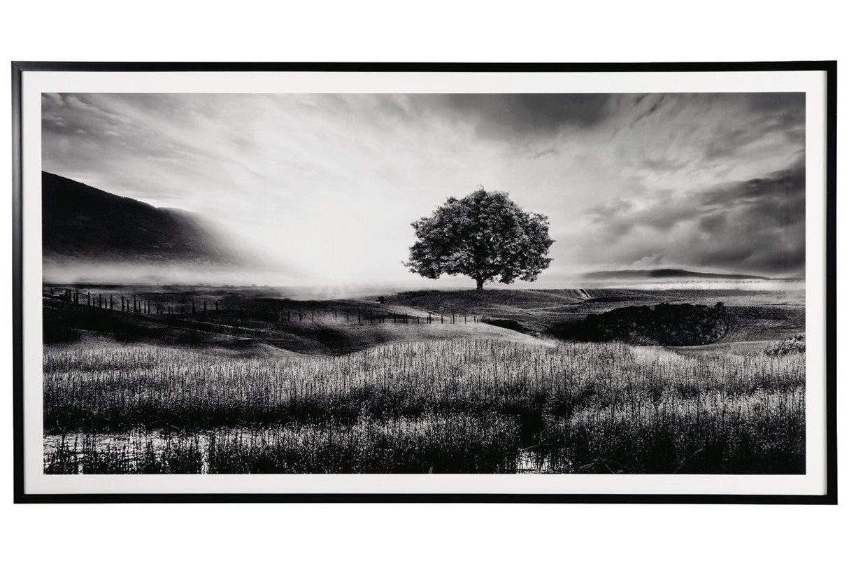 Deborland Black/White Wall Art by Ashley at Eve Furniture