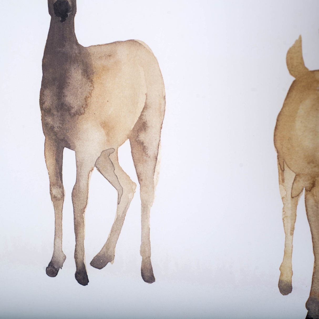 Deer Line I by Grace Popp a Framed Art Print Matted under Glass by Mercana at Eve Furniture