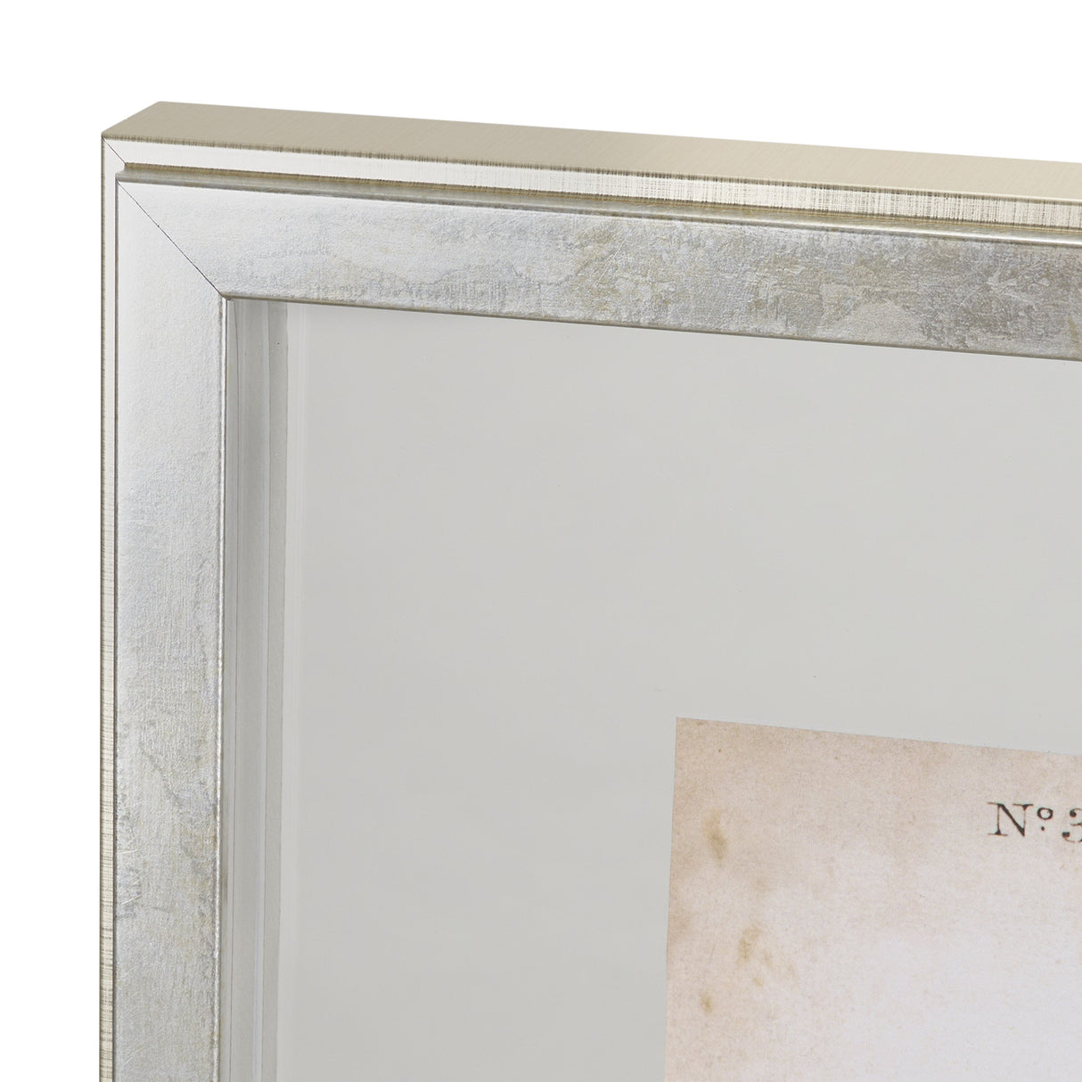Delicate Bird and Botanical IV by John James Audubon a Framed Art Print Matted under Glass by Mercana at Eve Furniture