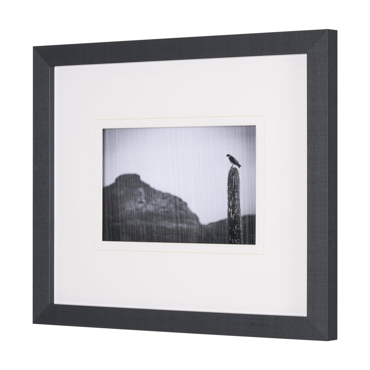 Desert Hunter by Nathan Larson a Hand Embelished Textured Framed Photo Art Print Matted under Glass by Mercana at Eve Furniture