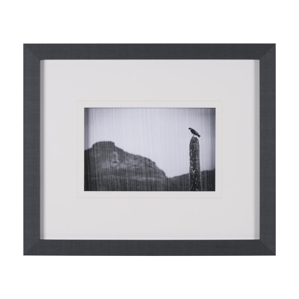 Desert Hunter by Nathan Larson a Hand Embelished Textured Framed Photo Art Print Matted under Glass by Mercana at Eve Furniture