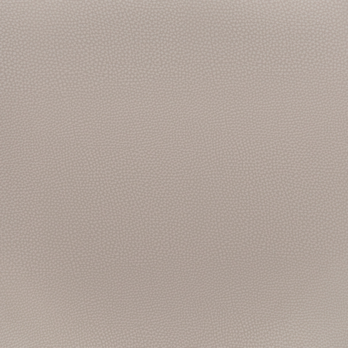 Desi Beige & Gold Counter Stool (Set of 2) by Zuomod at Eve Furniture