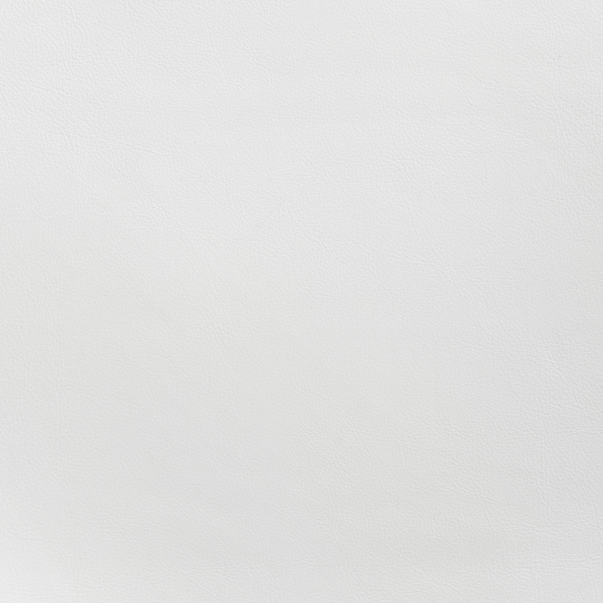 Desi White Dining Chair (Set of 2) by Zuomod at Eve Furniture