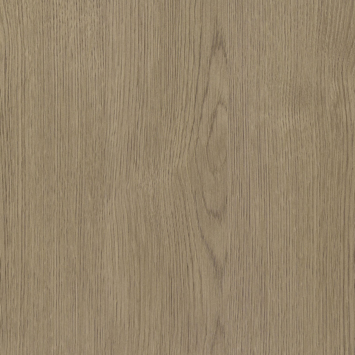 Devar Latte 2-Piece Square Cocktail Coffee End Table Set by Coaster at Eve Furniture