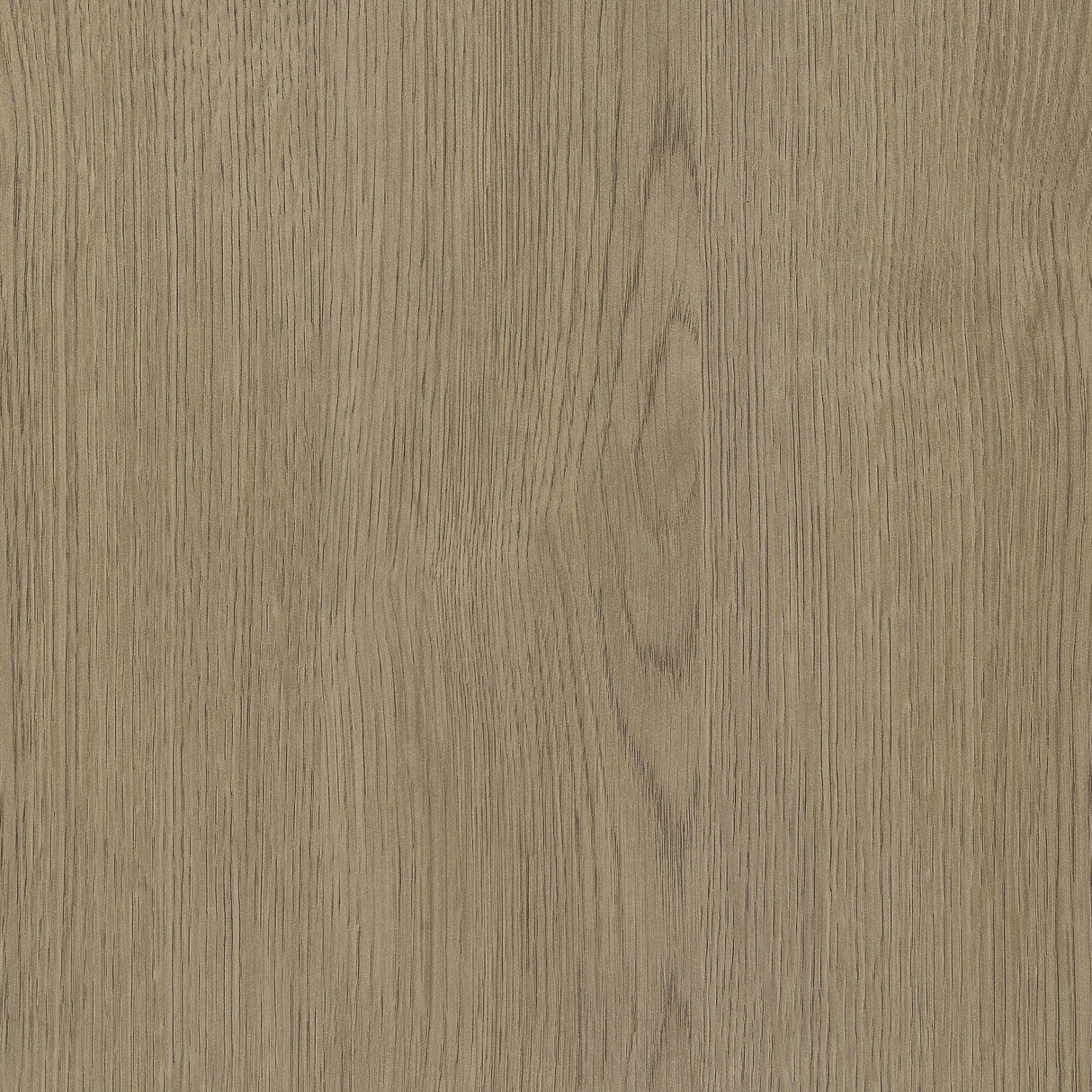 Devar Latte 3-Piece Square Cocktail Coffee End Table Set by Coaster at Eve Furniture