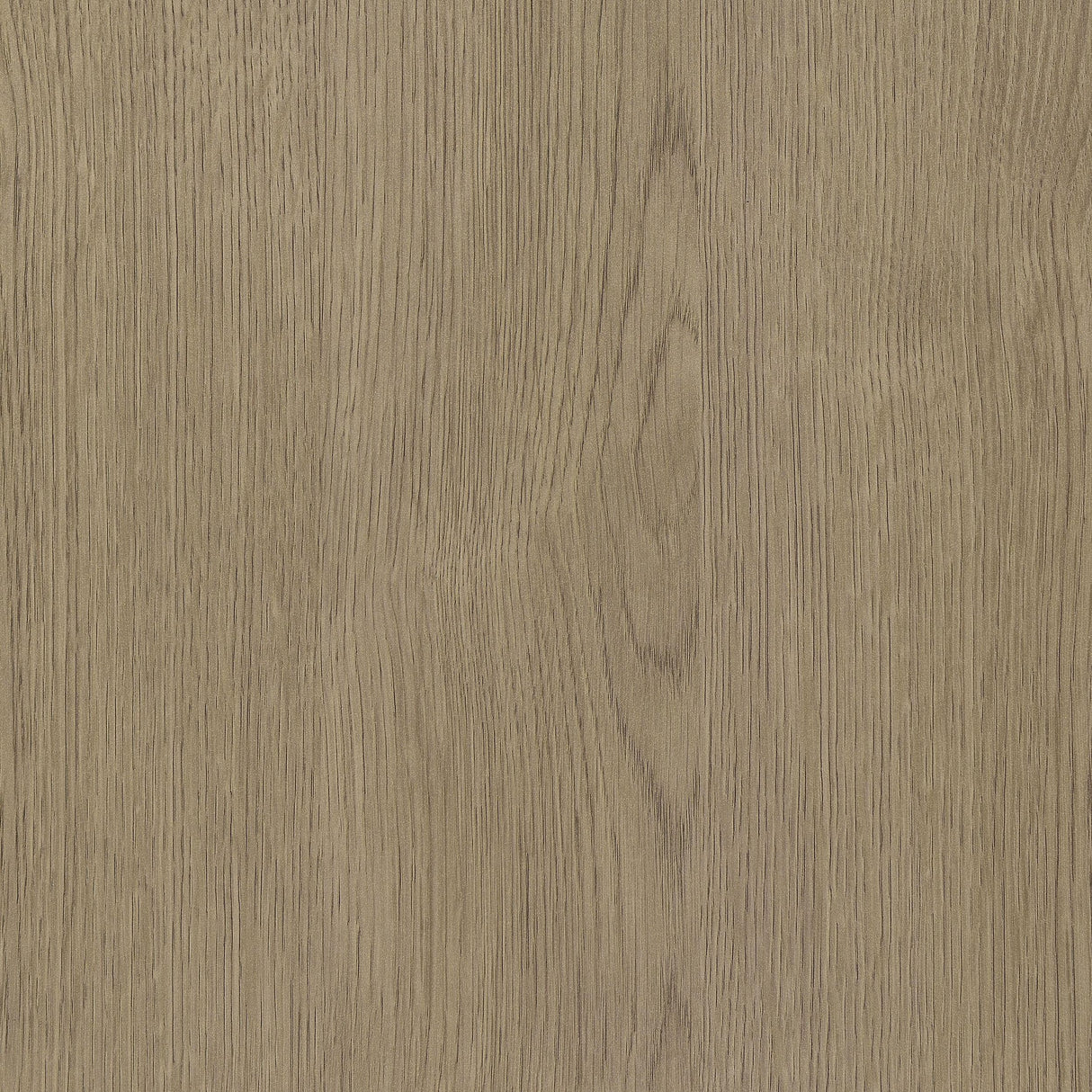 Devar Latte Square Engineered Wood Side End Table by Coaster at Eve Furniture