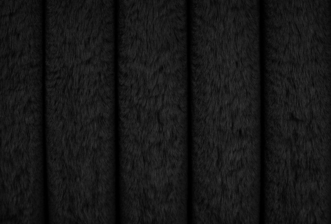 Diana Black Queen Platform Bed by Happy Homes at Eve Furniture