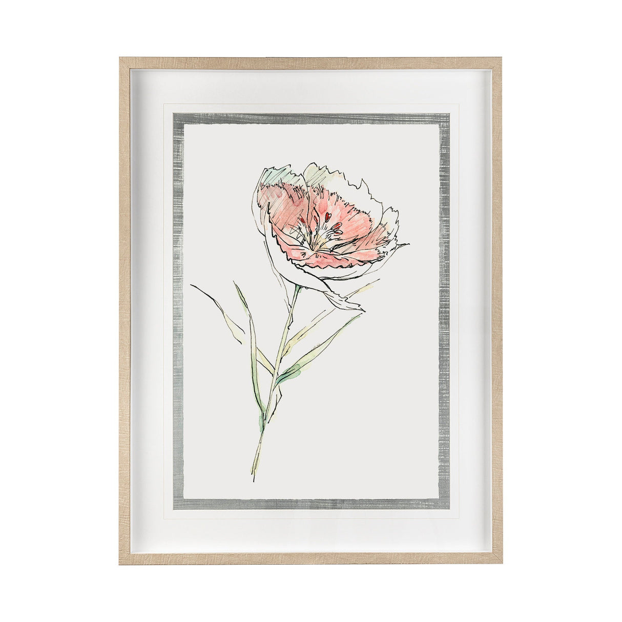 Dianthus II by Panpan Zhang a Framed Art Print Matted under Glass by Mercana at Eve Furniture