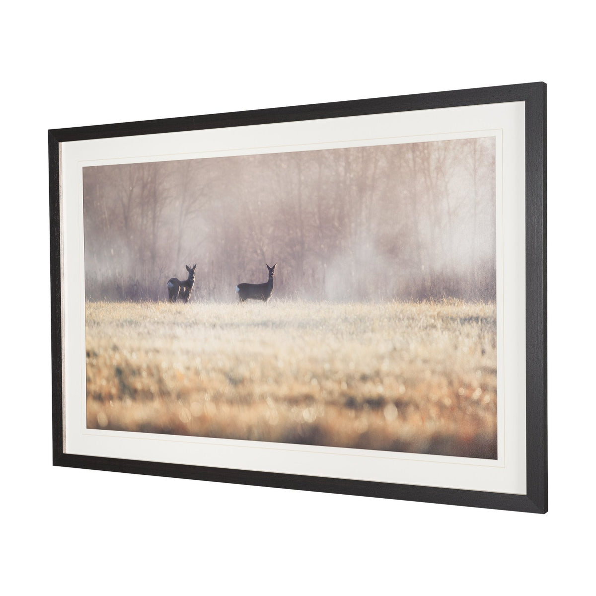 Distant Duo by Andreas Stridsberg Framed Photo Print Matted under Glass by Mercana at Eve Furniture