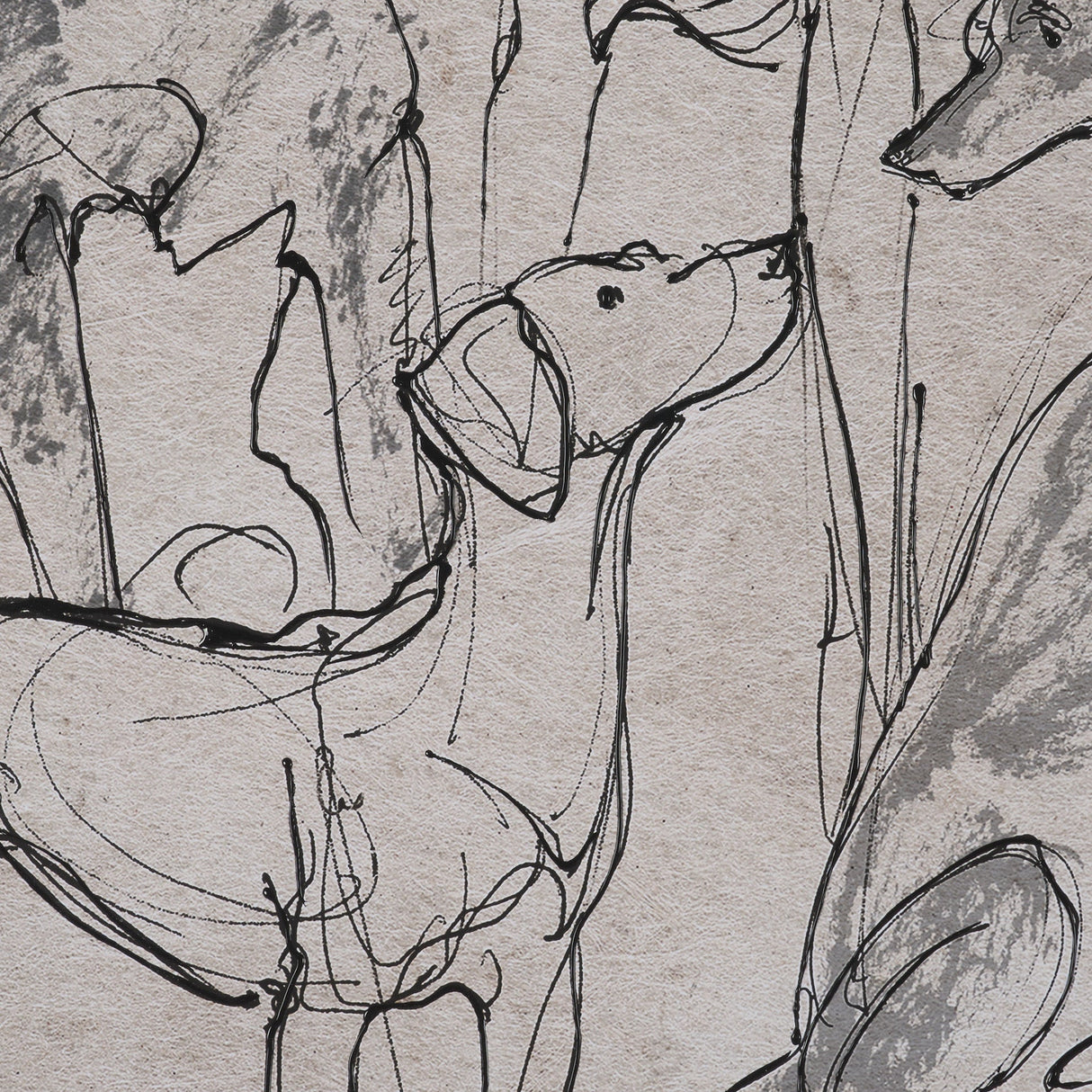 Dog Sketches II by Mercana Studio Hand Embelished Framed Artwork Matted under Glass by Mercana at Eve Furniture