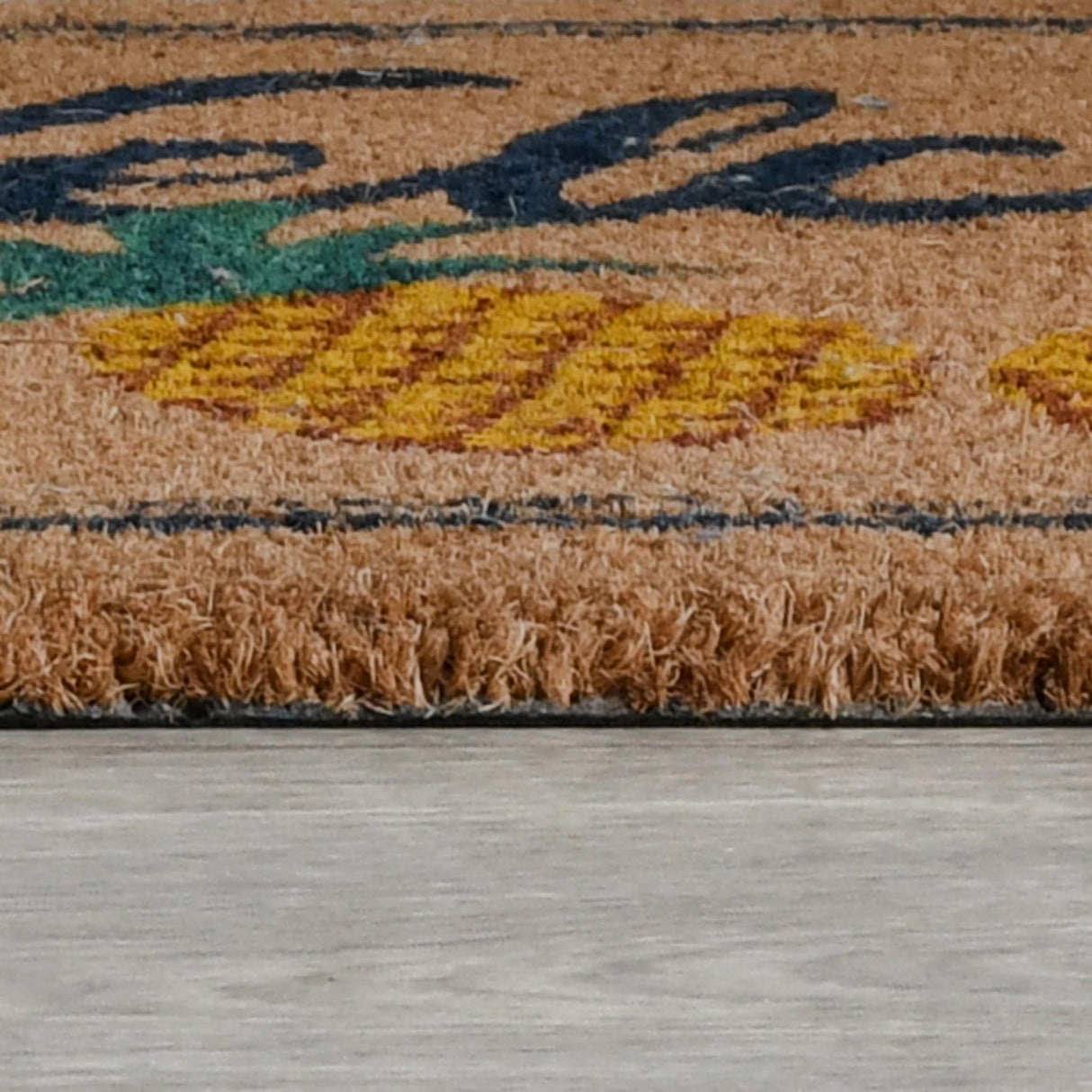 Doormat Two Brown Pineapples Doormat by Classic Home at Eve Furniture