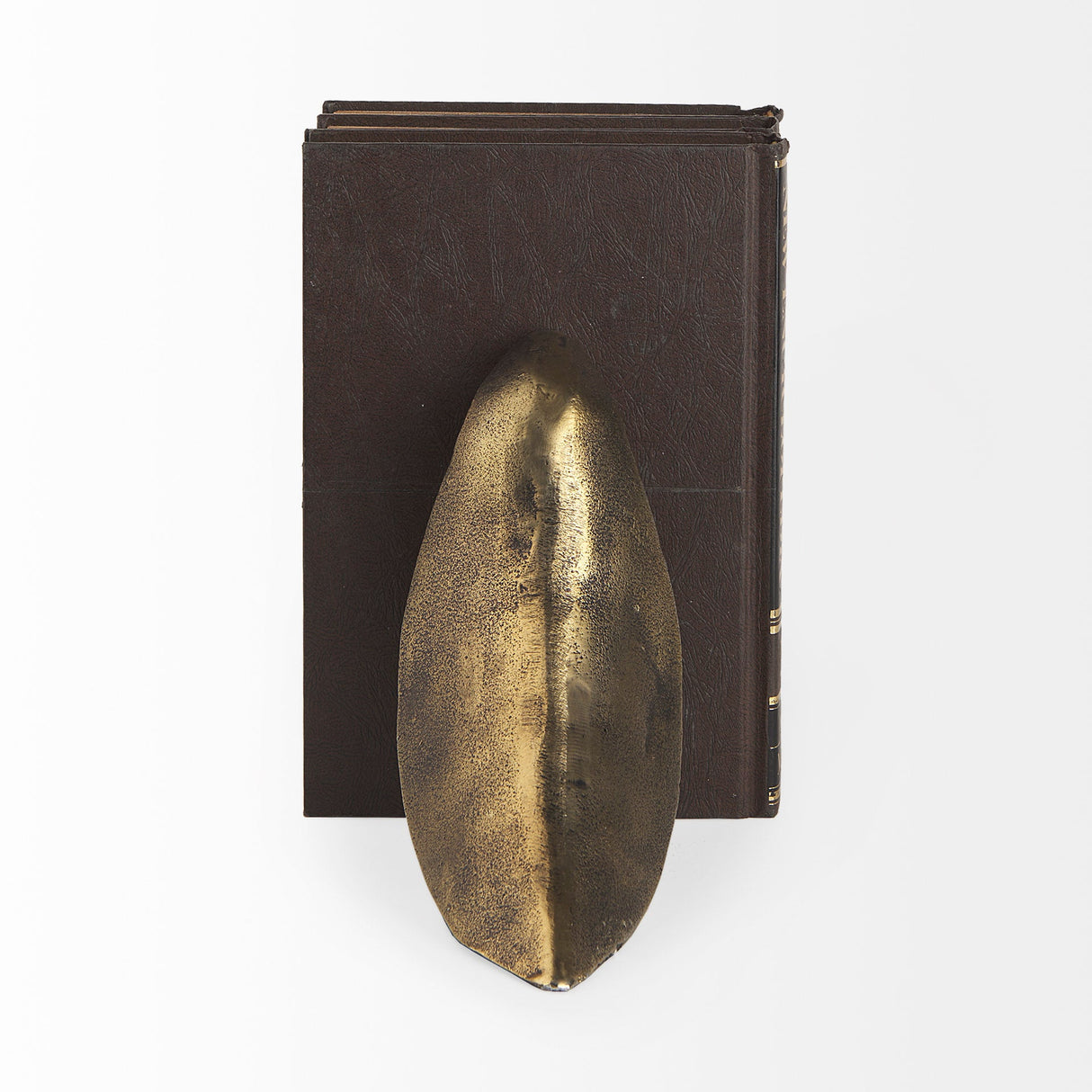 Dover (Set of 2) 15L x 4W Gold Aluminum Dove Bookends by Mercana at Eve Furniture