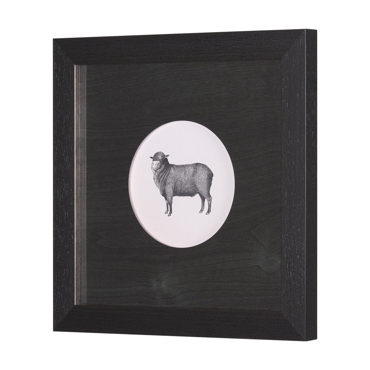 Down On The Farm II by Wild Apple Portfolio a Framed Art Print Matted under Glass by Mercana at Eve Furniture
