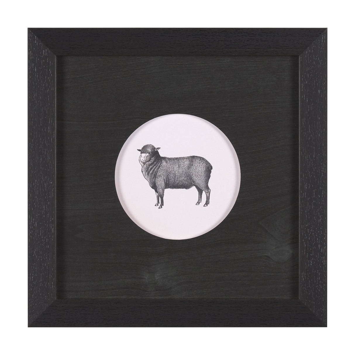 Down On The Farm II by Wild Apple Portfolio a Framed Art Print Matted under Glass by Mercana at Eve Furniture