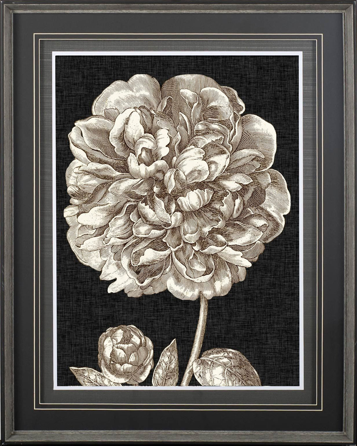 Dramatic Peony II by Vision Studio a Hand Embellished Textured Framed Art Print Matted under Glass by Mercana at Eve Furniture
