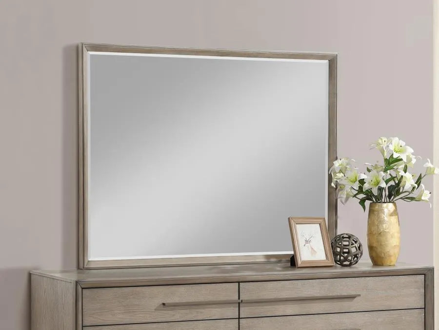 Durango Washed Oak 8-drawer Dresser Mirror by Coaster at Eve Furniture