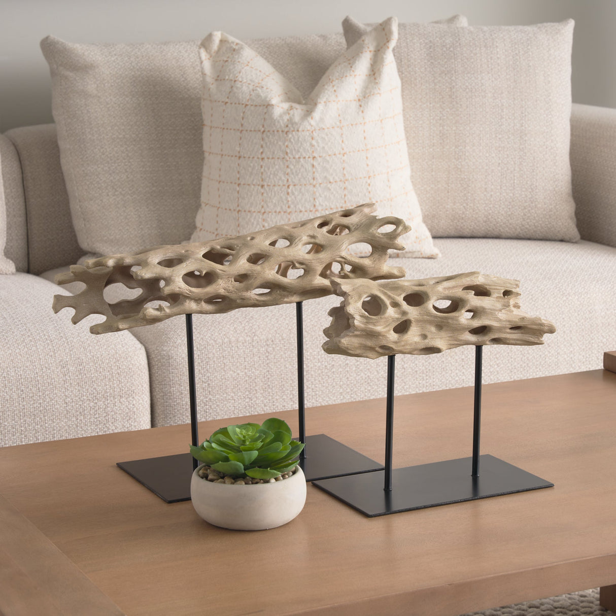 Dwell Cholla Wood Resin Decorative Object by Mercana at Eve Furniture