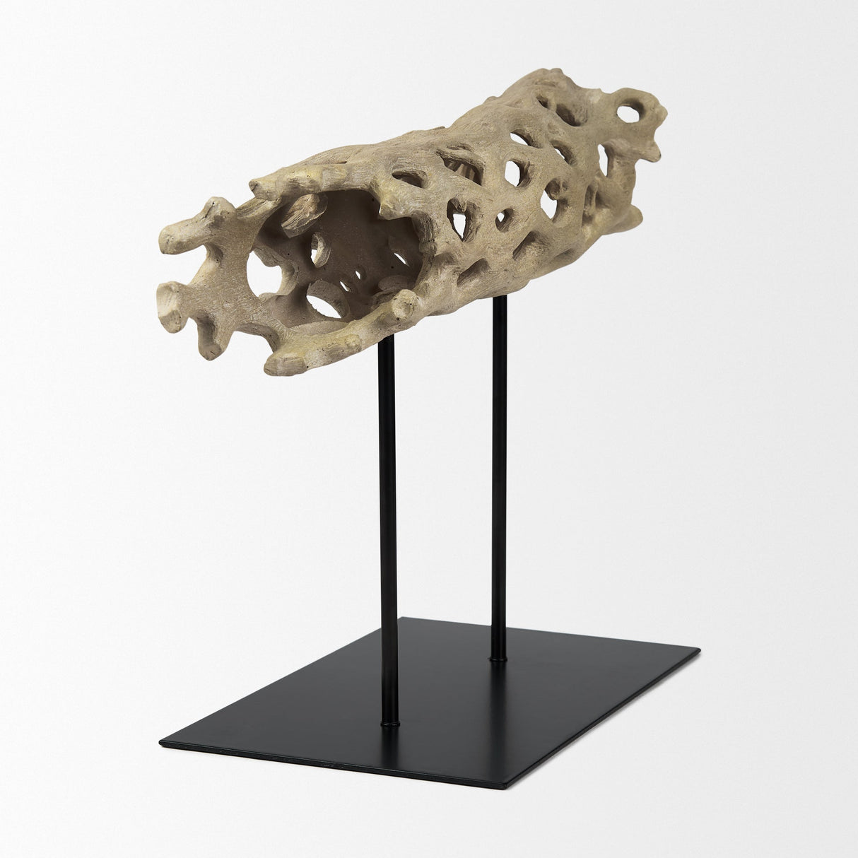 Dwell Cholla Wood Resin Decorative Object by Mercana at Eve Furniture