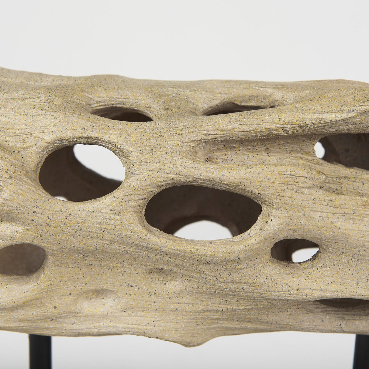Dwell Cholla Wood Resin Decorative Object by Mercana at Eve Furniture