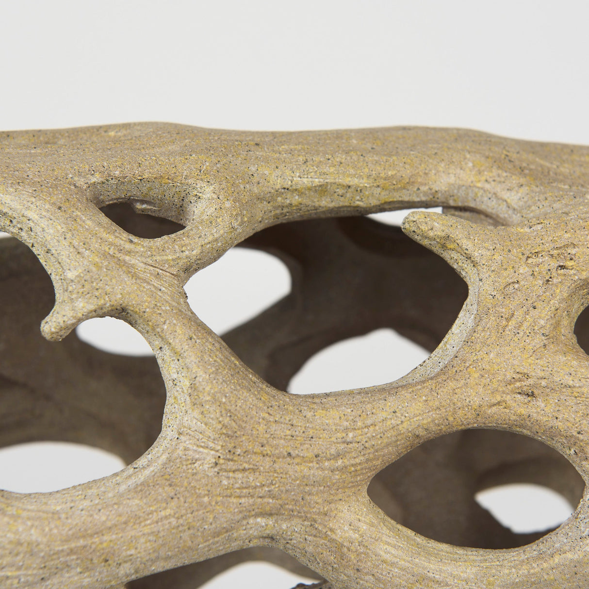 Dwell Cholla Wood Resin Decorative Object by Mercana at Eve Furniture