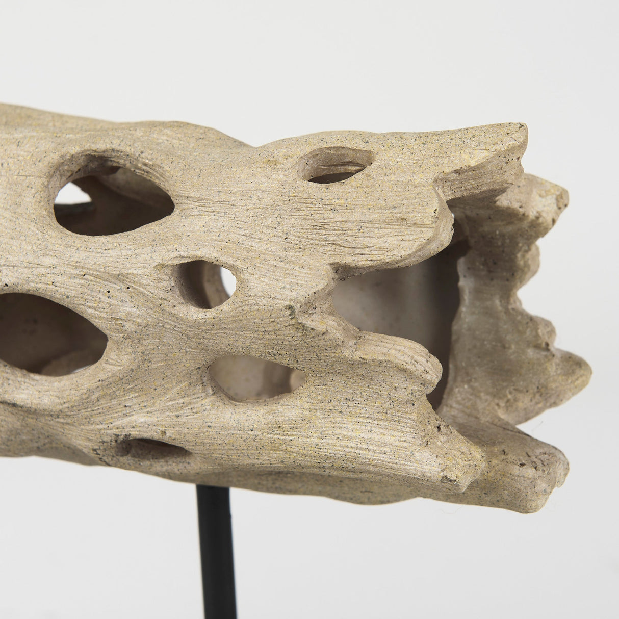Dwell Cholla Wood Resin Decorative Object by Mercana at Eve Furniture