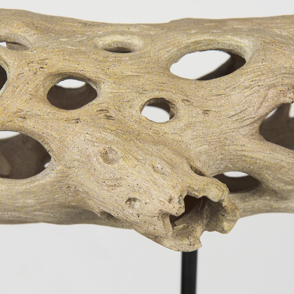 Dwell Cholla Wood Resin Decorative Object by Mercana at Eve Furniture