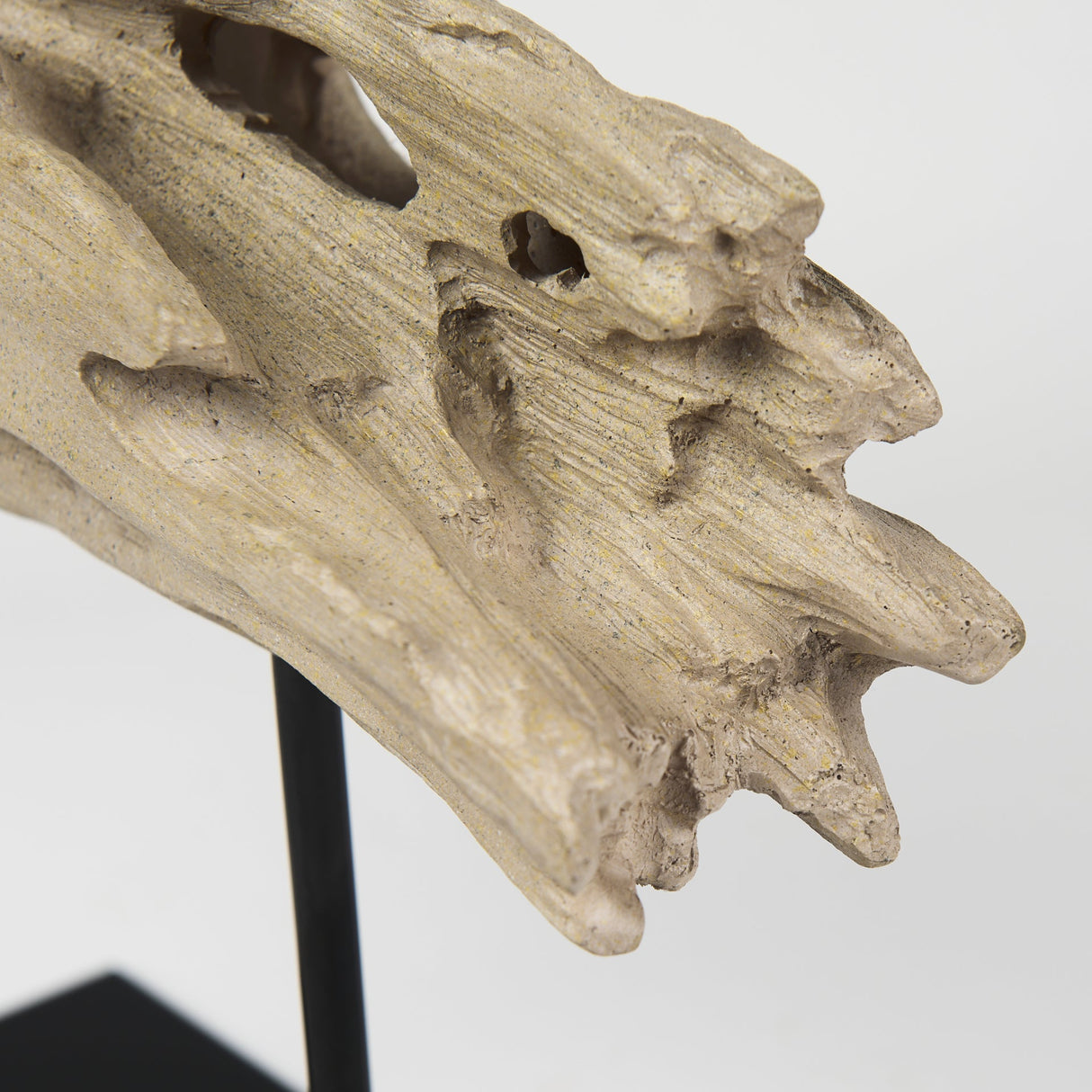 Dwell Cholla Wood Resin Decorative Object by Mercana at Eve Furniture
