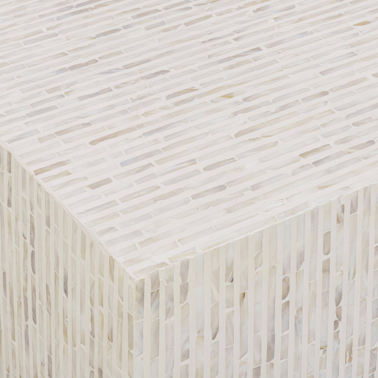 Earl 48" Shell Rectangular Coffee Table by TOV Furniture at Eve Furniture