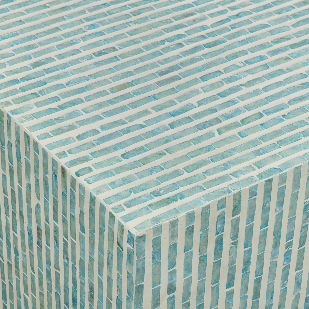 Earl 48" Shell Rectangular Coffee Table by TOV Furniture at Eve Furniture