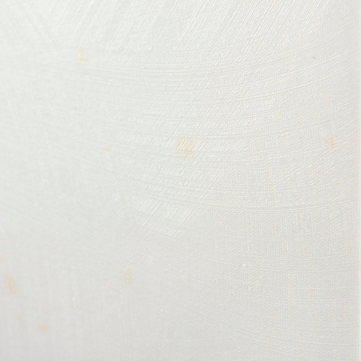 Echinacea I by Mercana Studio a Hand Embellished Textured Canvas by Mercana at Eve Furniture