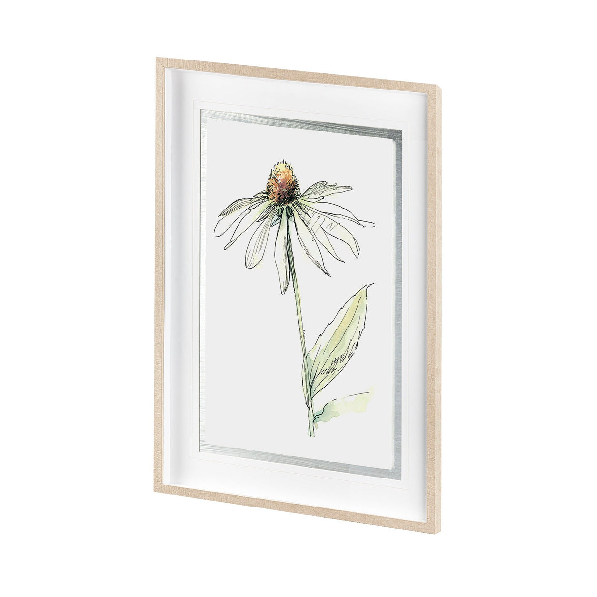 Echinacea II by Panpan Zhang a Framed Art Print Matted under Glass by Mercana at Eve Furniture