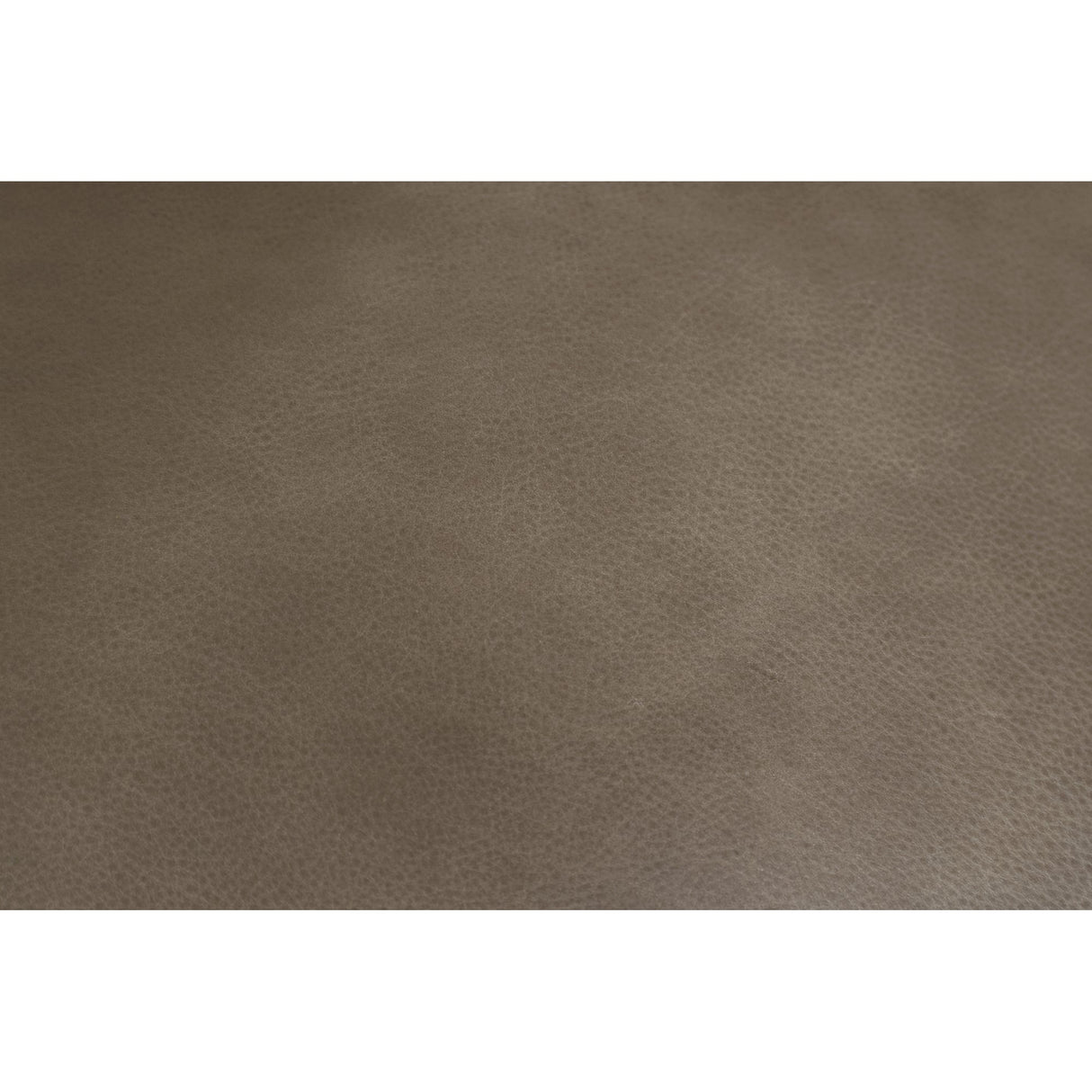 Eckersley Cool Brown Leather Lounge Chair by Moe's Home at Eve Furniture