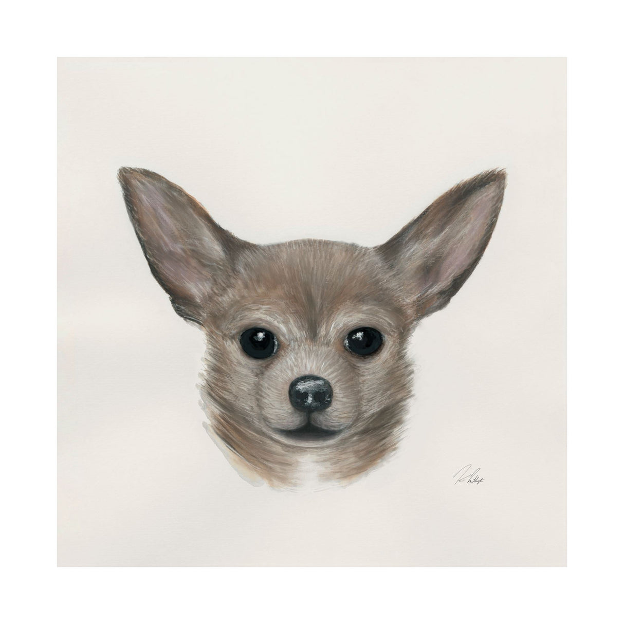 Eddie (Yorkie 1) by Mercana Studio a Hand Embellished Textured Canvas by Mercana at Eve Furniture