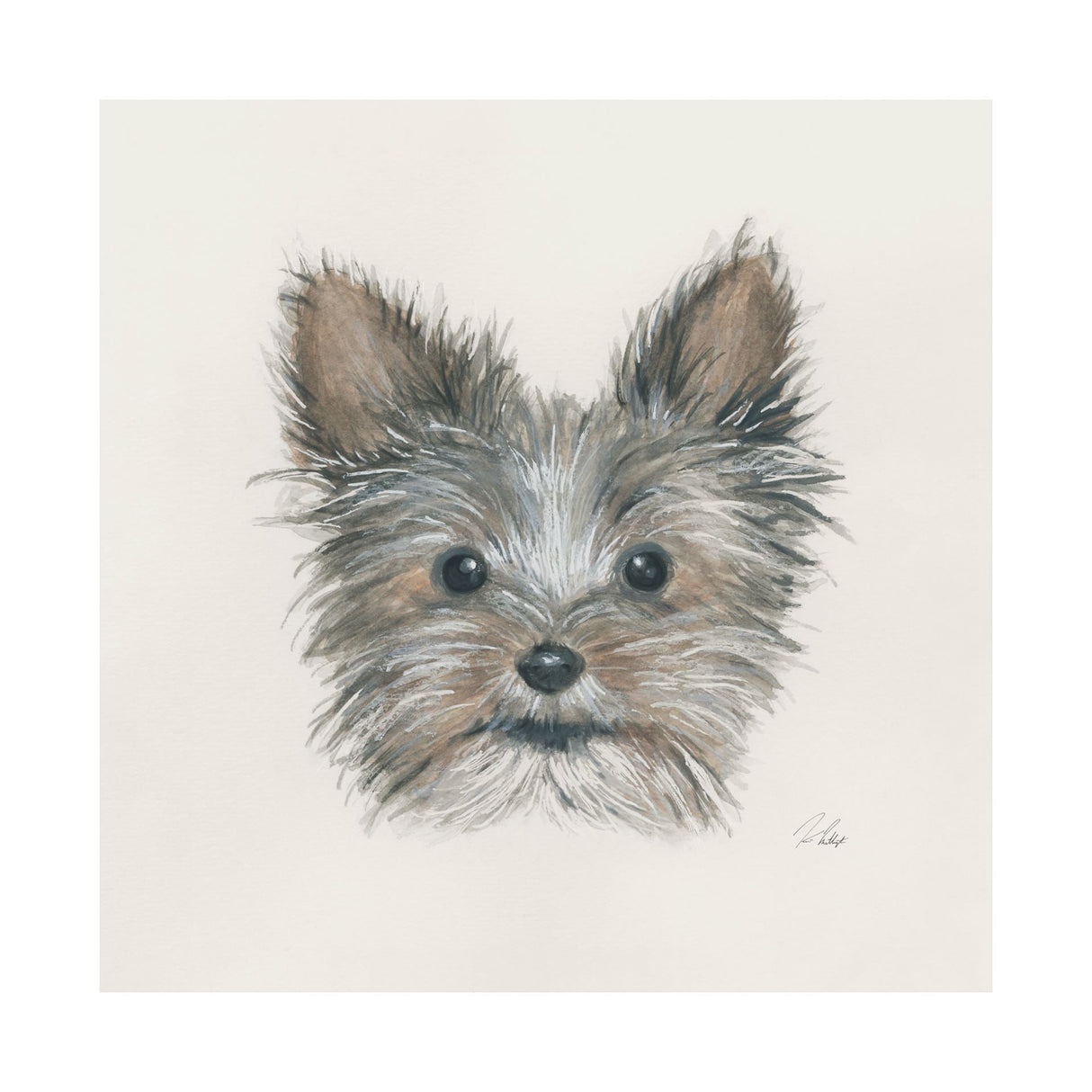 Eddie (Yorkie 1) by Mercana Studio a Hand Embellished Textured Canvas by Mercana at Eve Furniture