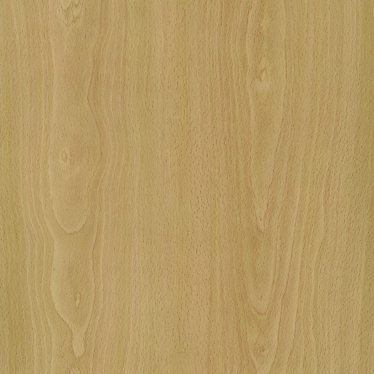 Edwards Natural 4-Panel Room Divider Folding Shoji Screen by Coaster at Eve Furniture