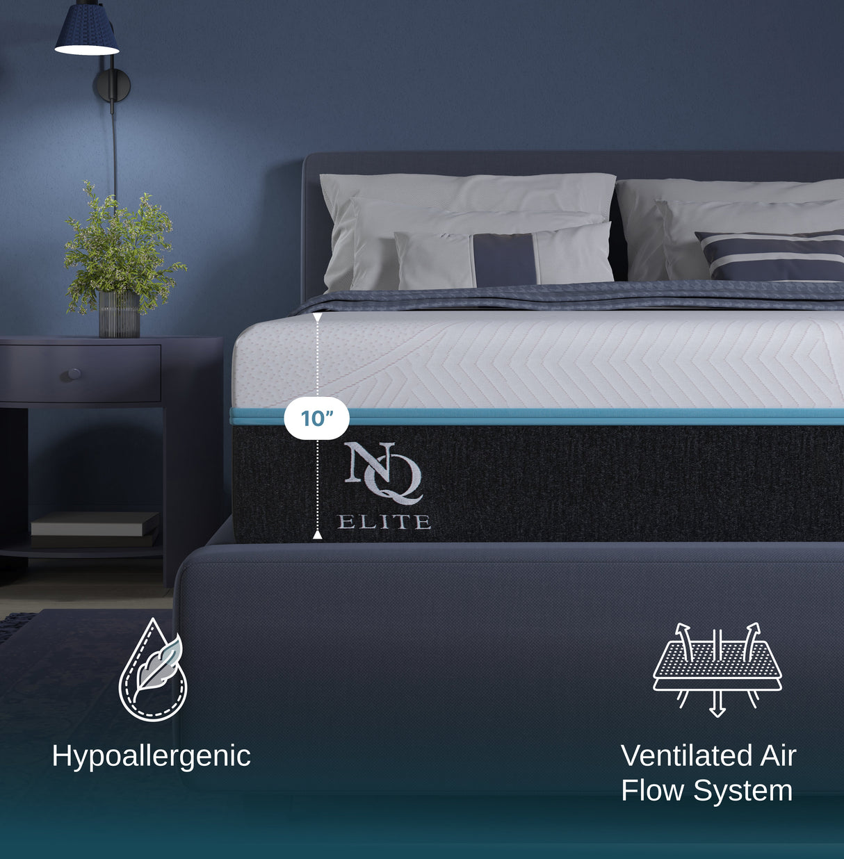 Elite Series Mild Gel Foam Mattress by NapQueen at Eve Furniture