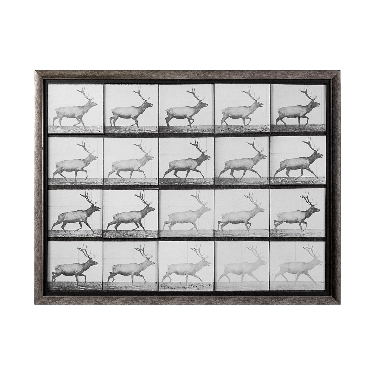 Elk Trotting by Eadweard Muybridge a Hand Embellished Textured Framed Art Print Matted under Glass by Mercana at Eve Furniture