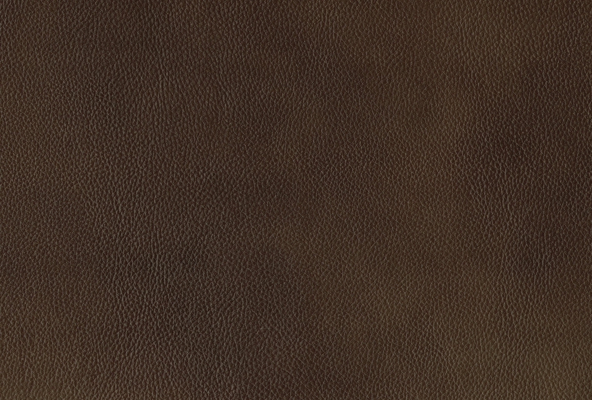 Ellicott Brown Leather Double Reclining Loveseat by Homelegance at Eve Furniture