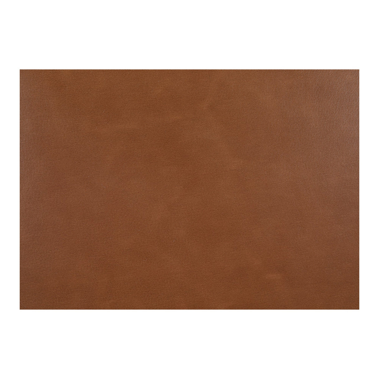 Ellie Brown Leather Dining Chair by Moe's Home at Eve Furniture
